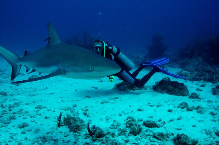 SXM aout 2008_03.jpg